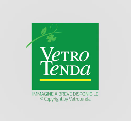 Cancelletti e Inferiate — Vetrotenda